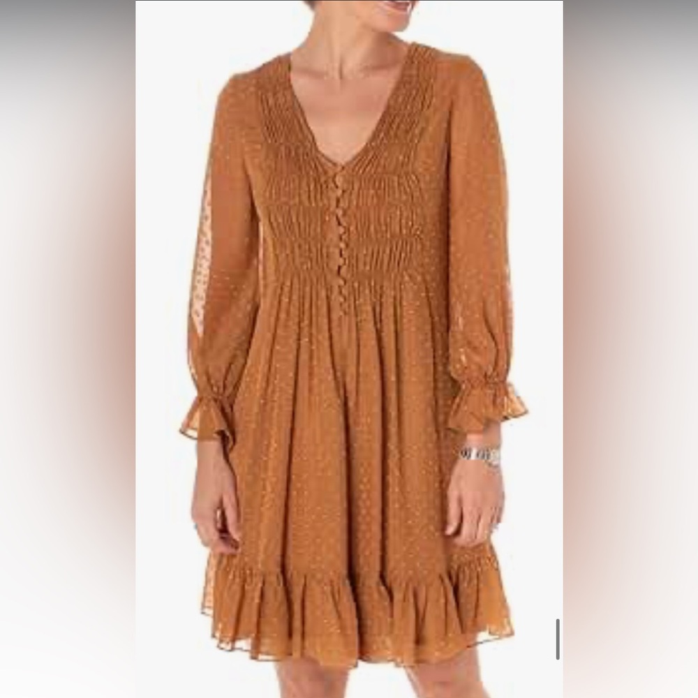 Taylor Rust chiffon dress women’s size 10-smocked Swiss dot-NWT - Picture 1 of 3
